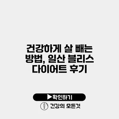 건강하게 살 빼는 방법, 일산 블리스 다이어트 후기