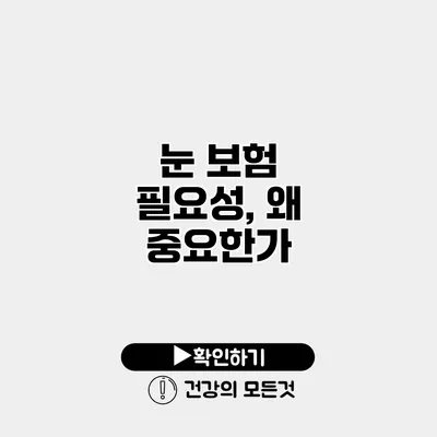 눈 보험 필요성, 왜 중요한가?