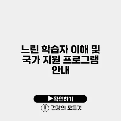 느린 학습자 이해 및 국가 지원 프로그램 안내