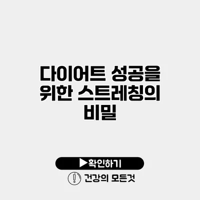 다이어트 성공을 위한 스트레칭의 비밀