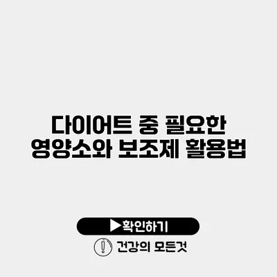 다이어트 중 필요한 영양소와 보조제 활용법