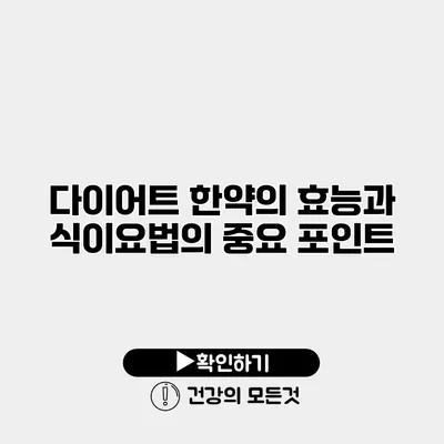 다이어트 한약의 효능과 식이요법의 중요 포인트