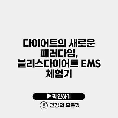 다이어트의 새로운 패러다임, 블리스다이어트 EMS 체험기