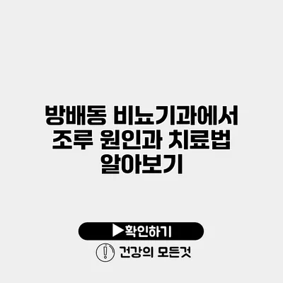 방배동 비뇨기과에서 조루 원인과 치료법 알아보기