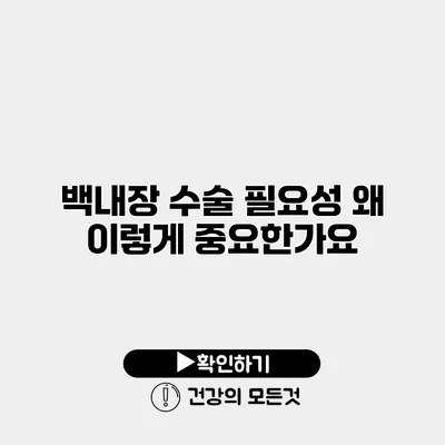 백내장 수술 필요성 왜 이렇게 중요한가요?
