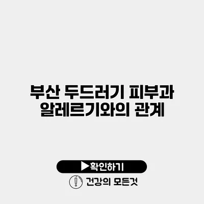 부산 두드러기 피부과 알레르기와의 관계