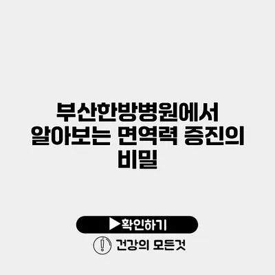 부산한방병원에서 알아보는 면역력 증진의 비밀
