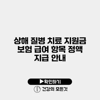 상해 질병 치료 지원금 보험 급여 항목 정액 지급 안내
