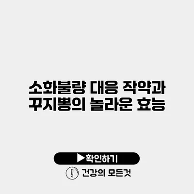 소화불량 대응 작약과 꾸지뽕의 놀라운 효능