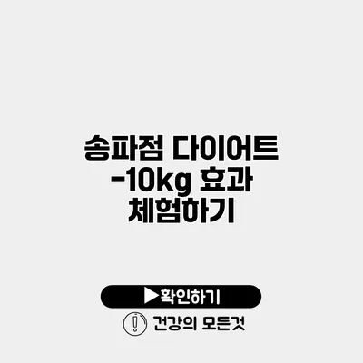 송파점 다이어트 -10kg 효과 체험하기