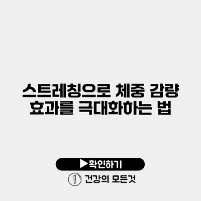 스트레칭으로 체중 감량 효과를 극대화하는 법