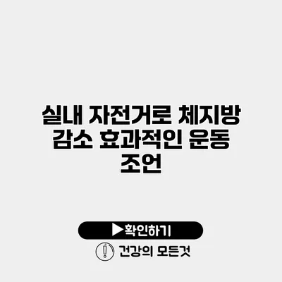 실내 자전거로 체지방 감소 효과적인 운동 조언