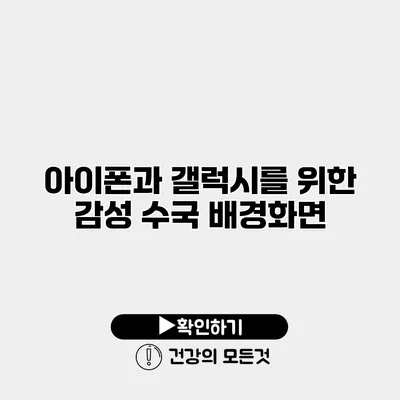 아이폰과 갤럭시를 위한 감성 수국 배경화면
