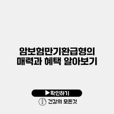 암보험만기환급형의 매력과 혜택 알아보기