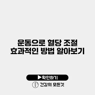 운동으로 혈당 조절? 효과적인 방법 알아보기