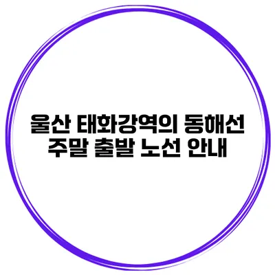 울산 태화강역의 동해선 주말 출발 노선 안내