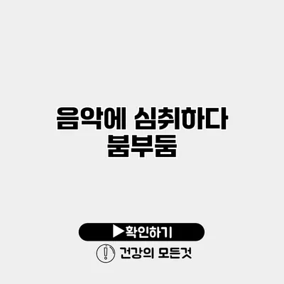 음악에 심취하다 붐부둠