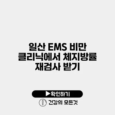 일산 EMS 비만 클리닉에서 체지방률 재검사 받기