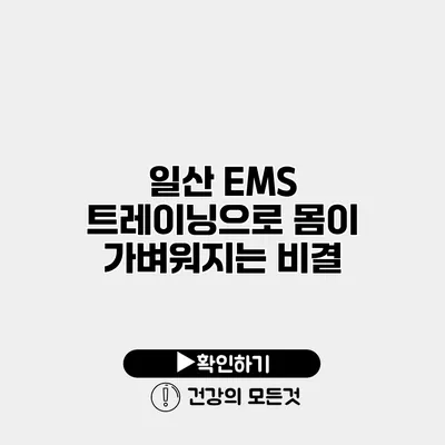 일산 EMS 트레이닝으로 몸이 가벼워지는 비결