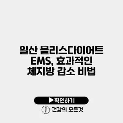 일산 블리스다이어트 EMS, 효과적인 체지방 감소 비법