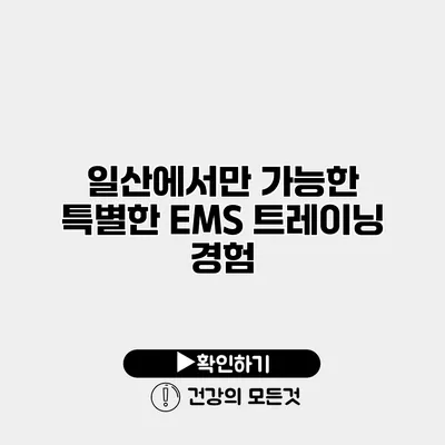 일산에서만 가능한 특별한 EMS 트레이닝 경험