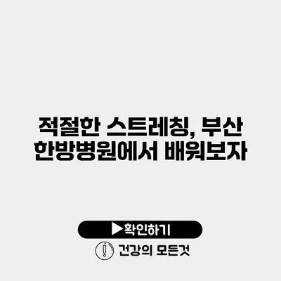 적절한 스트레칭, 부산 한방병원에서 배워보자
