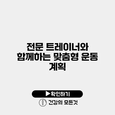 전문 트레이너와 함께하는 맞춤형 운동 계획
