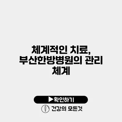 체계적인 치료, 부산한방병원의 관리 체계