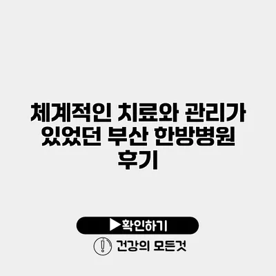 체계적인 치료와 관리가 있었던 부산 한방병원 후기