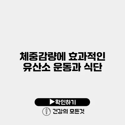 체중감량에 효과적인 유산소 운동과 식단