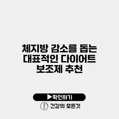 체지방 감소를 돕는 대표적인 다이어트 보조제 추천