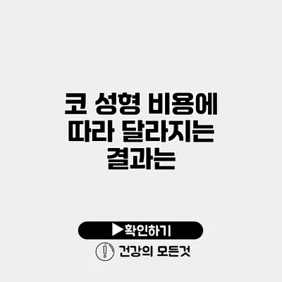 코 성형 비용에 따라 달라지는 결과는?