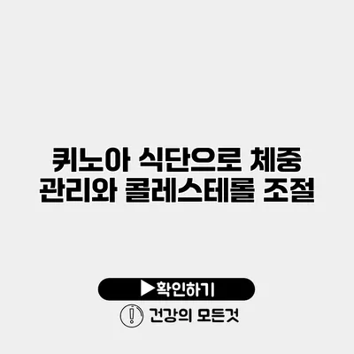 퀴노아 식단으로 체중 관리와 콜레스테롤 조절