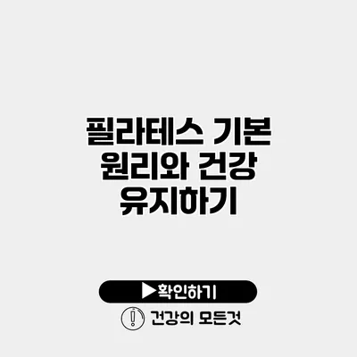 필라테스 기본 원리와 건강 유지하기