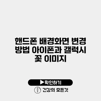 핸드폰 배경화면 변경 방법 아이폰과 갤럭시 꽃 이미지