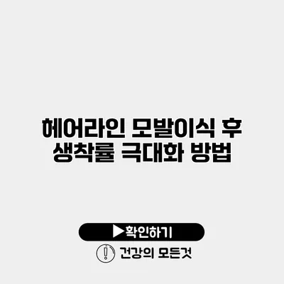 헤어라인 모발이식 후 생착률 극대화 방법