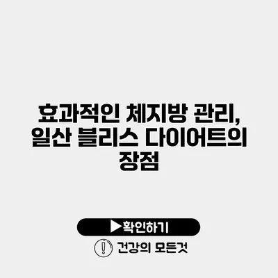 효과적인 체지방 관리, 일산 블리스 다이어트의 장점