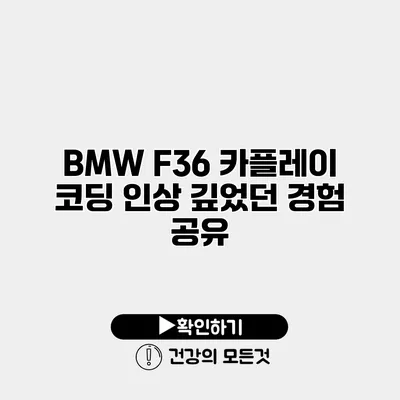 BMW F36 카플레이 코딩 인상 깊었던 경험 공유