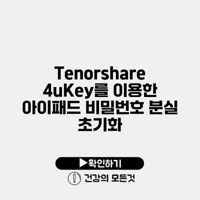 Tenorshare 4uKey를 이용한 아이패드 비밀번호 분실 초기화