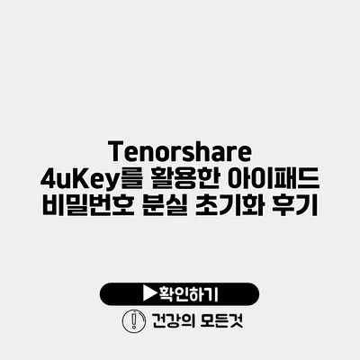 Tenorshare 4uKey를 활용한 아이패드 비밀번호 분실 초기화 후기
