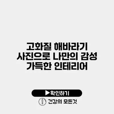 고화질 해바라기 사진으로 나만의 감성 가득한 인테리어