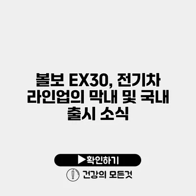 볼보 EX30, 전기차 라인업의 막내 및 국내 출시 소식