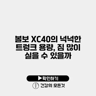 볼보 XC40의 넉넉한 트렁크 용량, 짐 많이 실을 수 있을까?