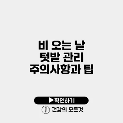 비 오는 날 텃밭 관리 주의사항과 팁