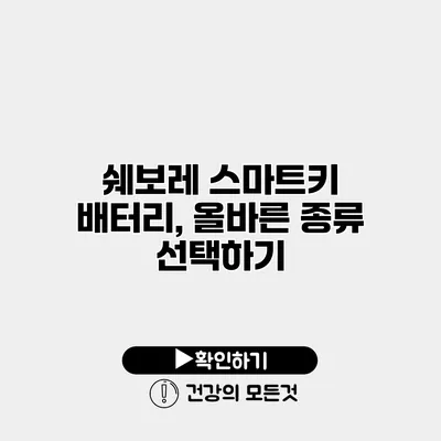 쉐보레 스마트키 배터리, 올바른 종류 선택하기