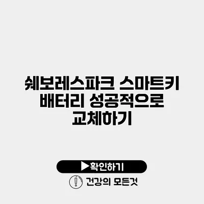 쉐보레스파크 스마트키 배터리 성공적으로 교체하기