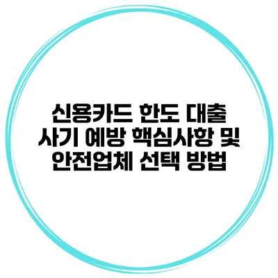 신용카드 한도 대출 사기 예방 핵심사항 및 안전업체 선택 방법