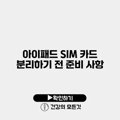 아이패드 SIM 카드 분리하기 전 준비 사항