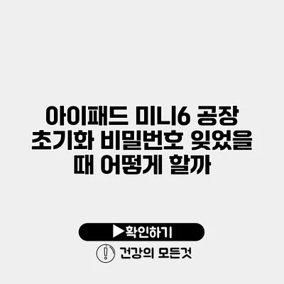 아이패드 미니6 공장 초기화 비밀번호 잊었을 때 어떻게 할까?