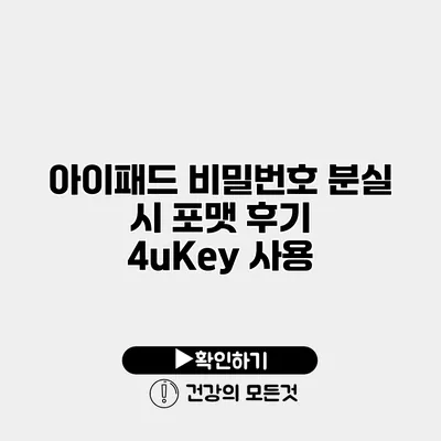 아이패드 비밀번호 분실 시 포맷 후기 4uKey 사용